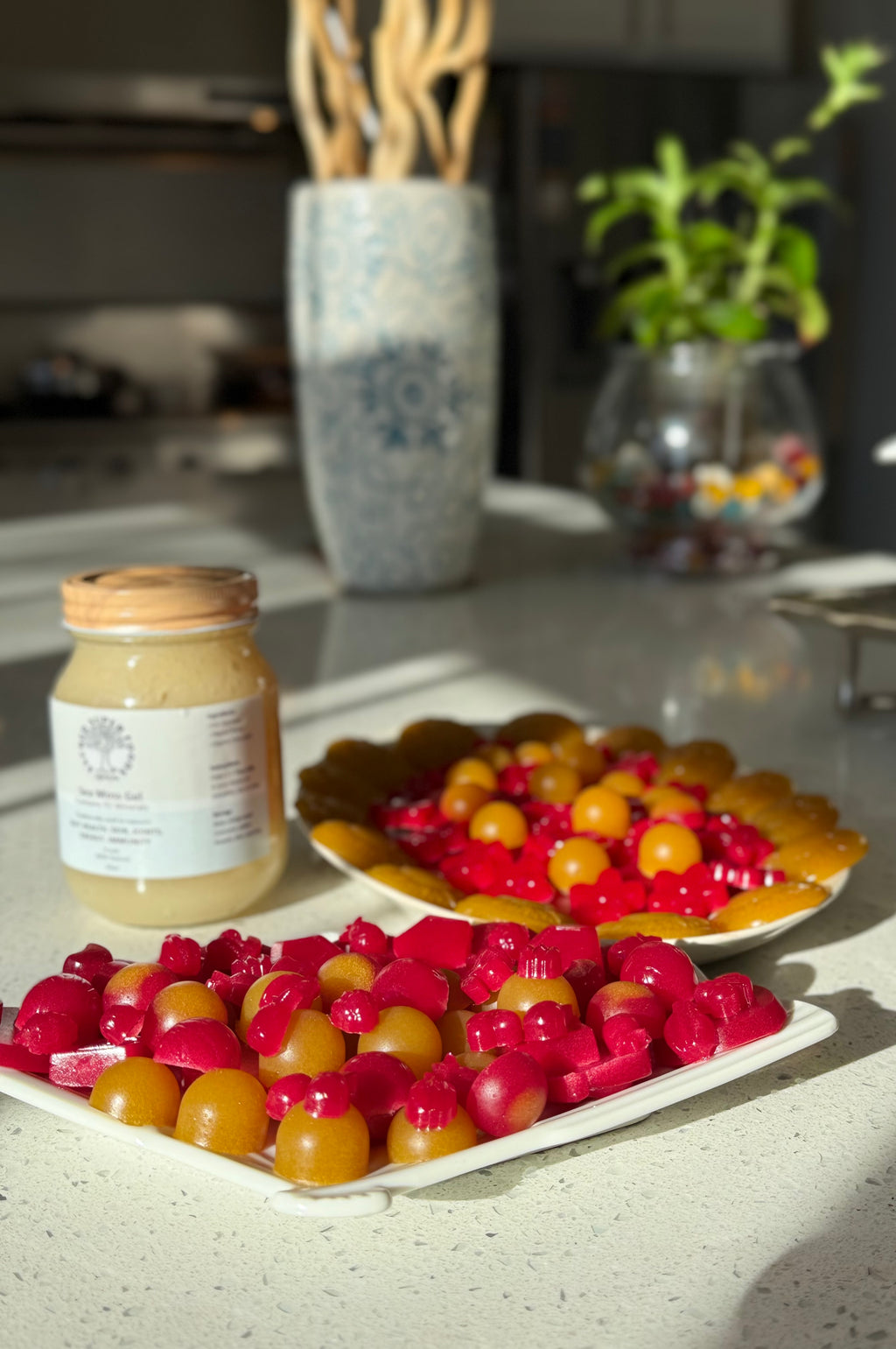 Seamoss Gummies